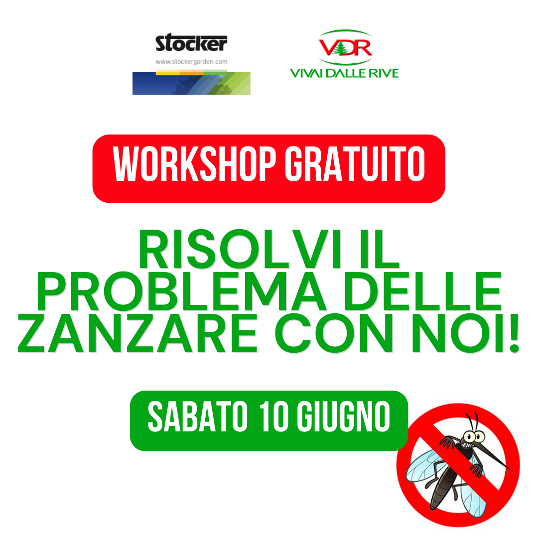 Progetto senza titolo - 2023-05-04T105145.028