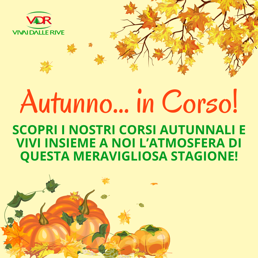 SCOPRI I NOSTRI CORSI AUTUNNALI